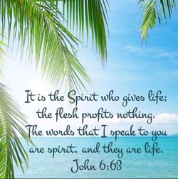 John 6:63