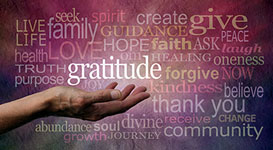 attitude of gratitude (Nikki Zalewski)
